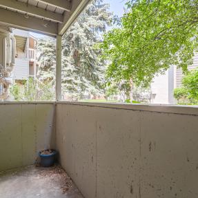 3515 28th St 105 - 015 - Patio