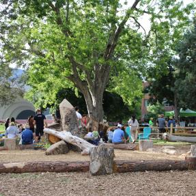 Nature play area climbing feature with children
