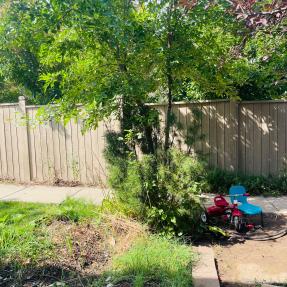 4573 Sunnyside Back yard space area