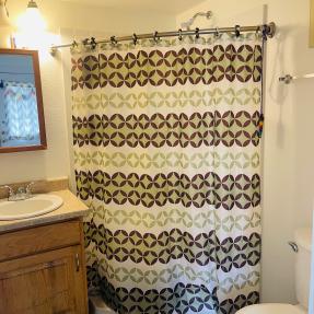 4573 Sunnyside Bathroom