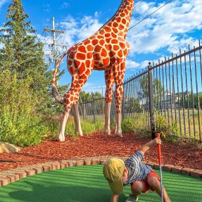 Child picks a golf ball out of a minigolf hole in front of a giraffe statue. 