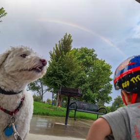 A small white dog facing the camera with a child facing away from the camera with a rainbow in a cloudy sky in the background. 