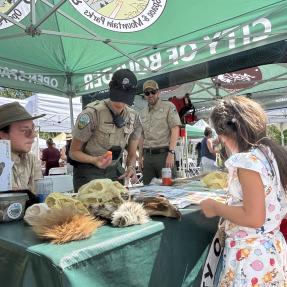 Kid looking at skulls and pelts on a table