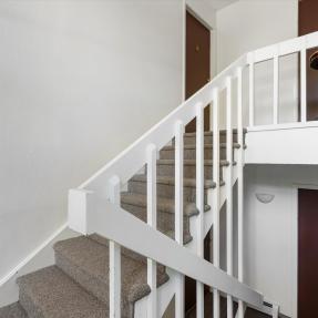 3335 Chisholm Trl 202 - Common building stairwell