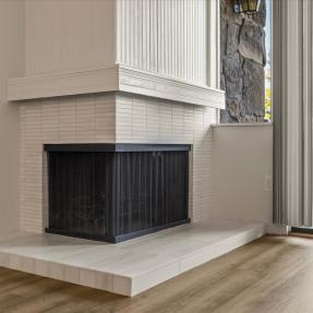 3120 Corona Trl L301-Fireplace