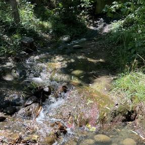 Natural stream flowing