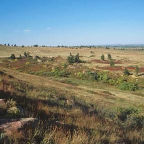 green and brown grassland against a bright blue sky