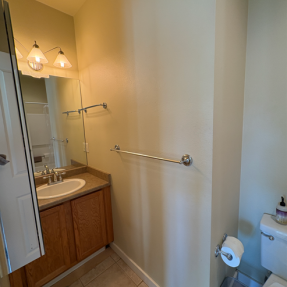 3223 Iron Forge Place #211 - Bathroom view