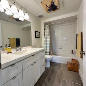 2930 Broadway St Unit 101 - Guest bath