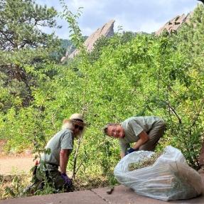 Volunteers working in the Ann Armstrong Native Plant Garden at Chautauqua.