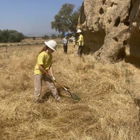 Junior Rangers in yellow shirts and hard hats working at White Rocks.