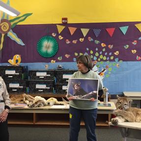 Two adult women standing in a colorful classroom pointing at animal photos, skulls and pelts