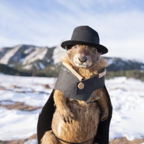 Stuffed marmot wearing a cap and top hat sitting against a background of snowy flatiron mountains.