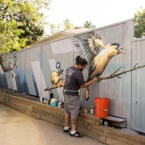 Artist painting a bird mural on the side of a fence