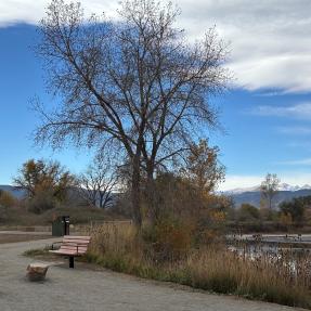 Pond next to trees, bench seating area and outdoor bathhouse.