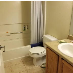 3223 Iron Forge Place Unit 104 Bathroom