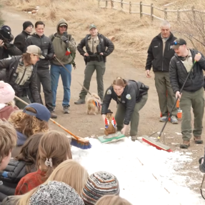 Flatiron Freddy being curled