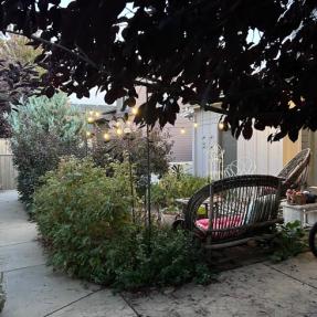 4591 Sunnyside Place sidewalk back area