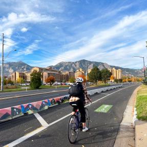Person Biking next to decorated tall curbs along Baseline Road.