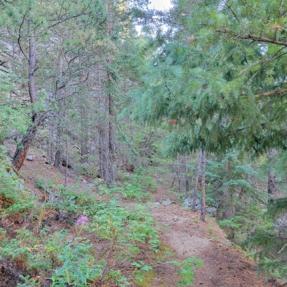 Overview of Barker Gravity Pipeline - Foot Trail, view to the South