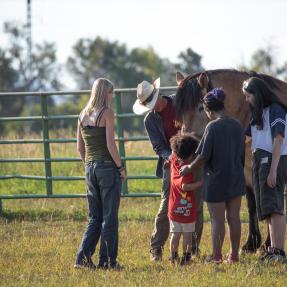 Group of all ages greet and pet a horse at a farm.