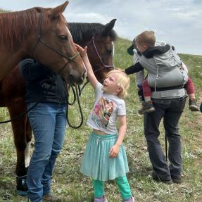 Small child petting a horse.