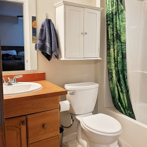 4710 Holiday 101-bathroom with tub