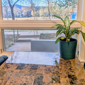 4710 Holiday 101-view from dining room window