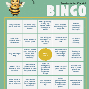 Climate Action Bingo small