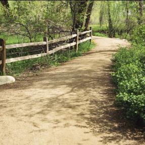 Dirt trail along greenway.