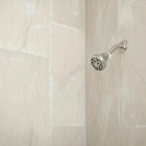775 Bedivere Cir - Bathroom shower