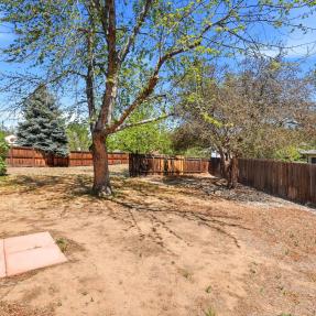 775 Bedivere Cir - Yard