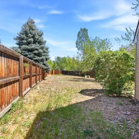 775 Bedivere Cir - Yard area