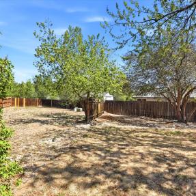 775 Bedivere Cir - Yard
