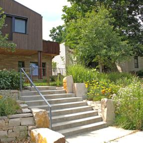 Stone steps with native plants