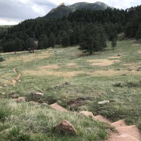 A narrow dirt trail leads through a meadow to the Halfway House restroom