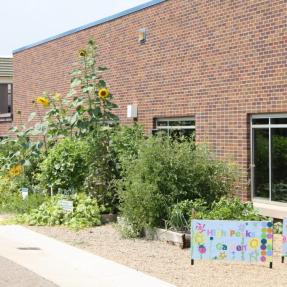 School garden in full growth