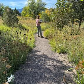 A seeded meadow and path created by Marpa and Birch Ecology 