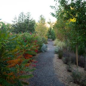 Gravel path with trees and sumac designed by Marpa