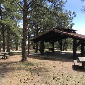 Picnic tables around the Wood Shelter, an open-sided shelter set among pine trees.