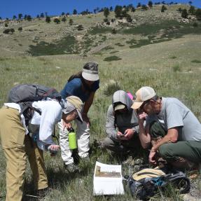 Four people kneeling around a map on the ground of a grassland area backed up to green hills.