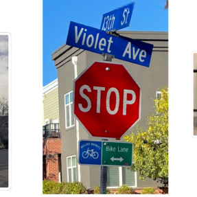 Examples of blue and white bikeway signs 