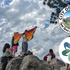 Group of people standing on a boulder outside with their backs to the camera. One person has big orange butterfly wings spread out against a blue sky. 