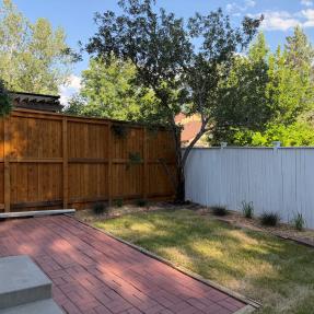 2616 Thornbird Backyard