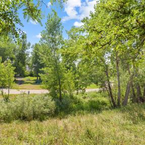 2630 Iris Avenue Unit A2 Yard trees