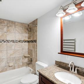3365 Chisholm Trail B302 bathroom