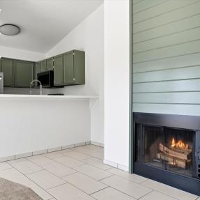 3565 28th St Unit 201 Fire place