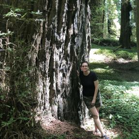 Kathleen Alexander and a redwood tree