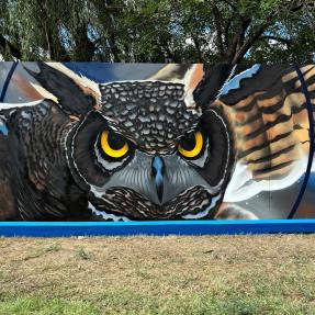 Mural of an owl in flight on a fence