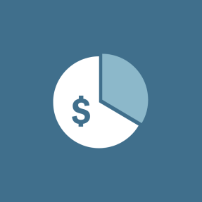 Budget Icon